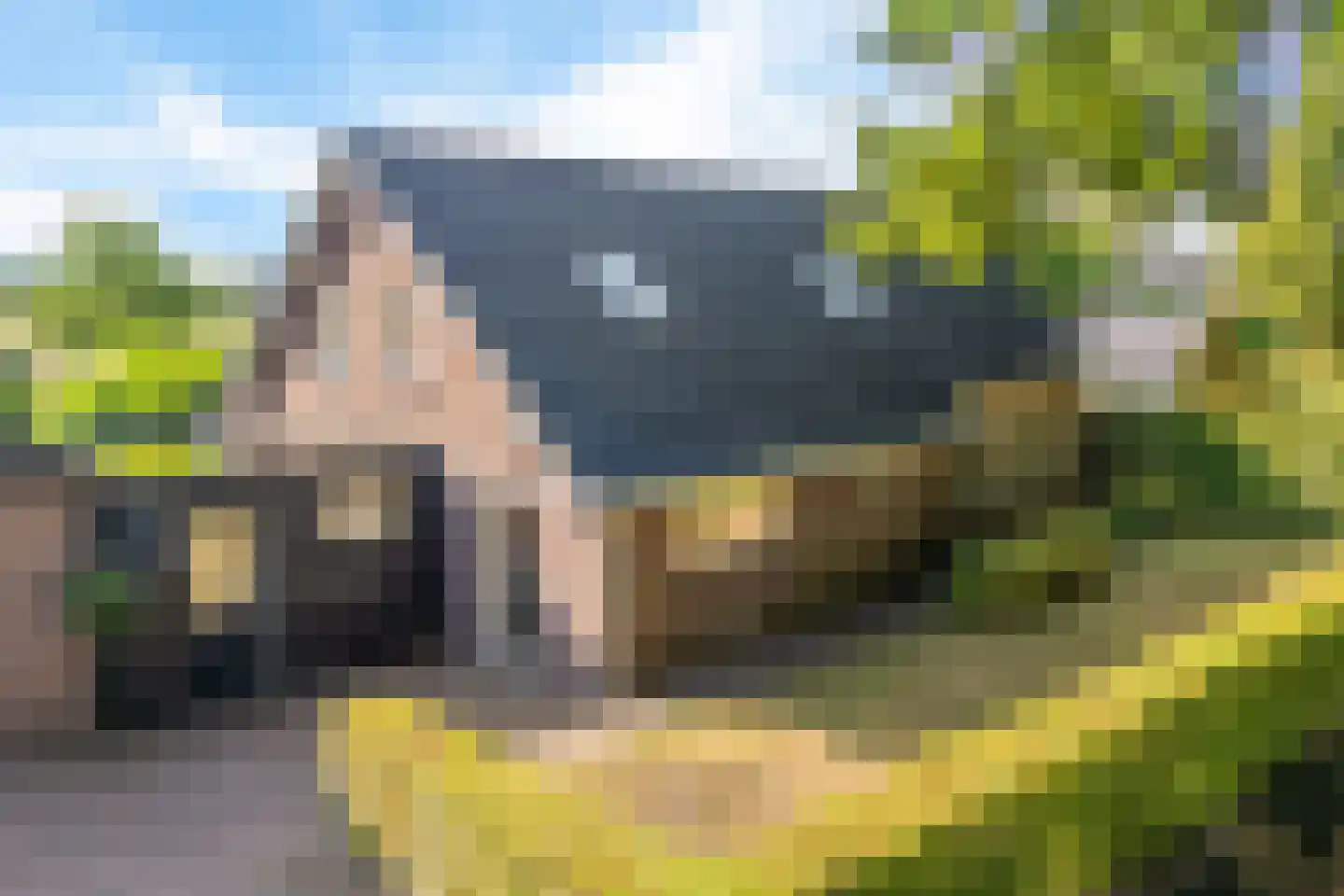 't Haantje 63 't Haantje thumbnail 76