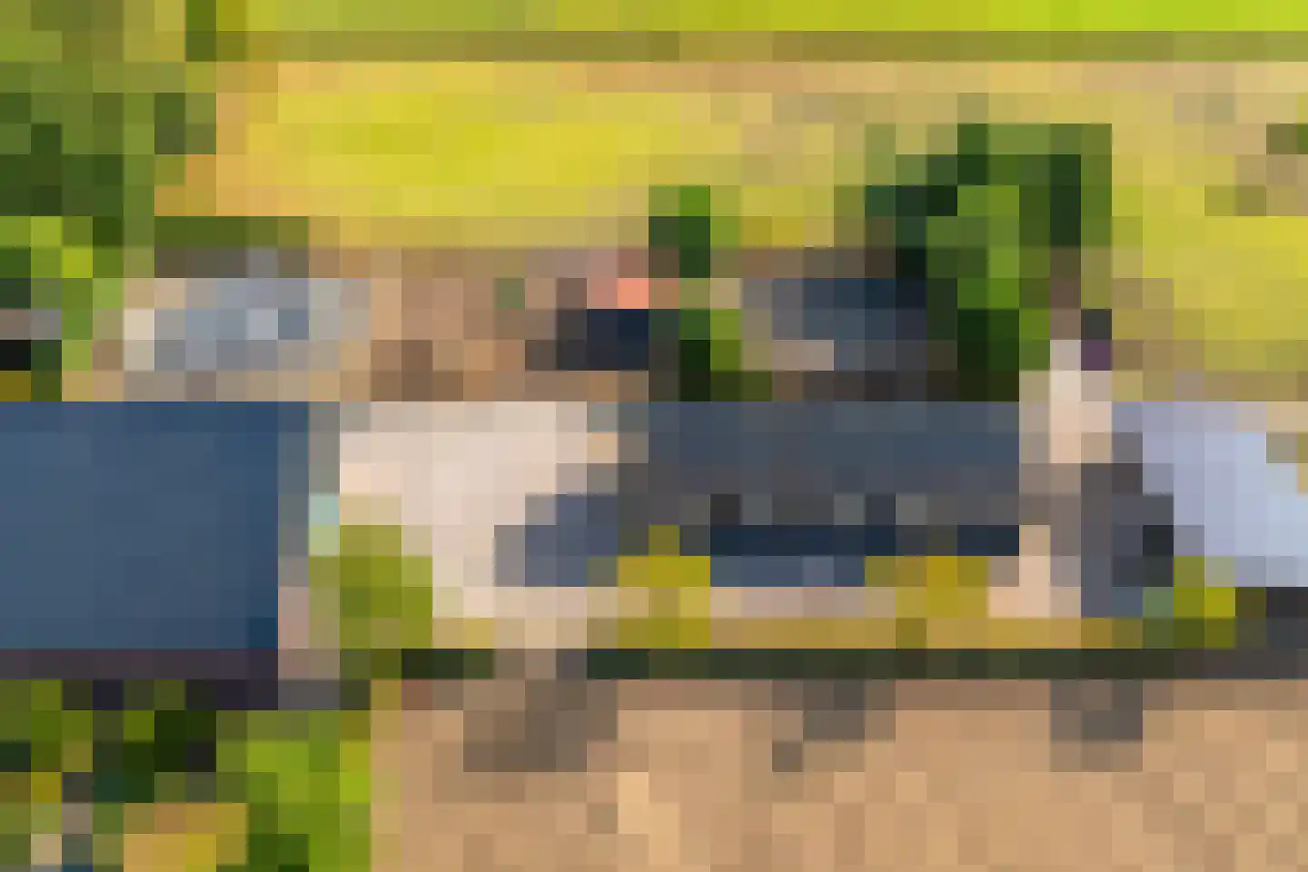 't Haantje 63 't Haantje thumbnail 79