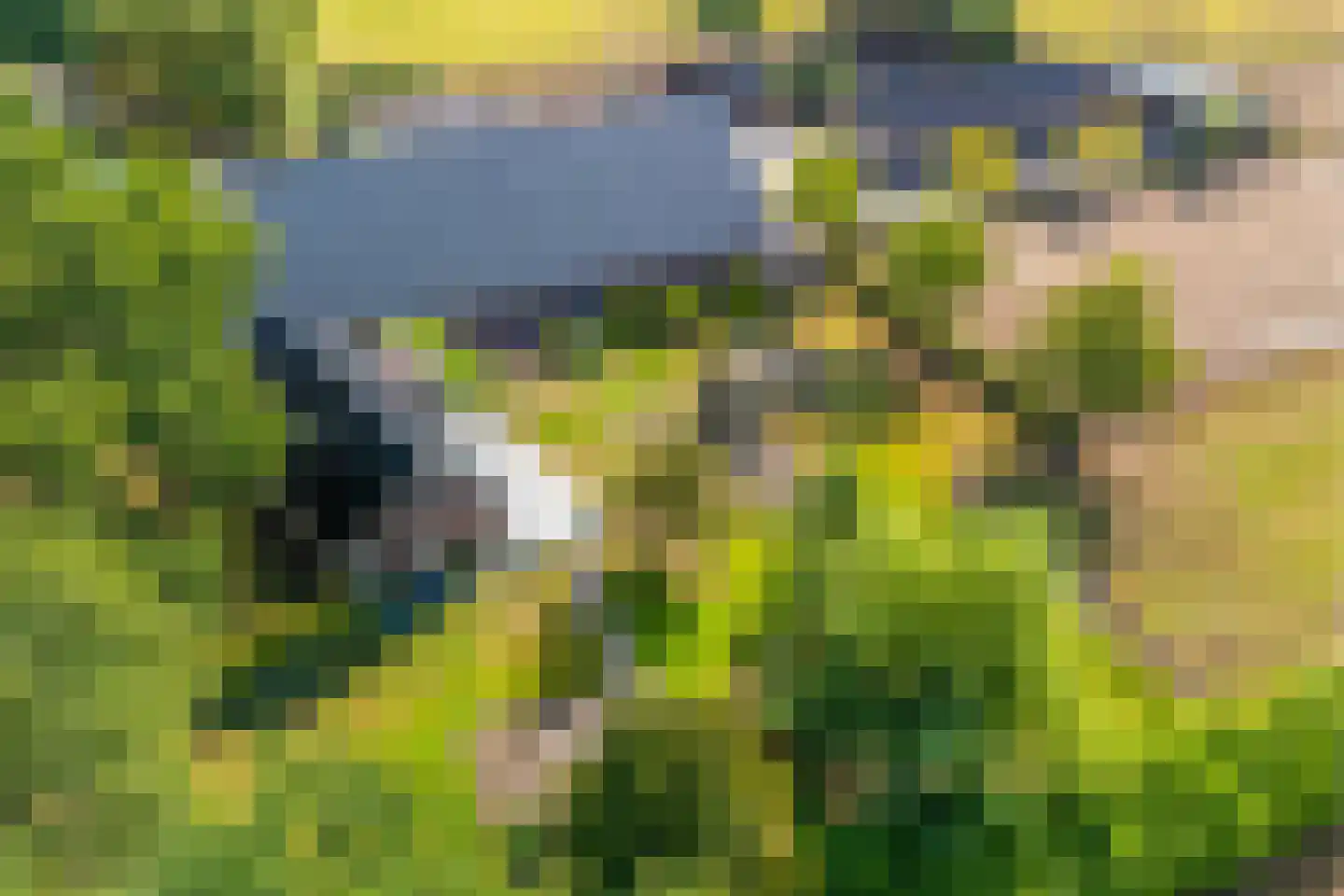 't Haantje 63 't Haantje thumbnail 80