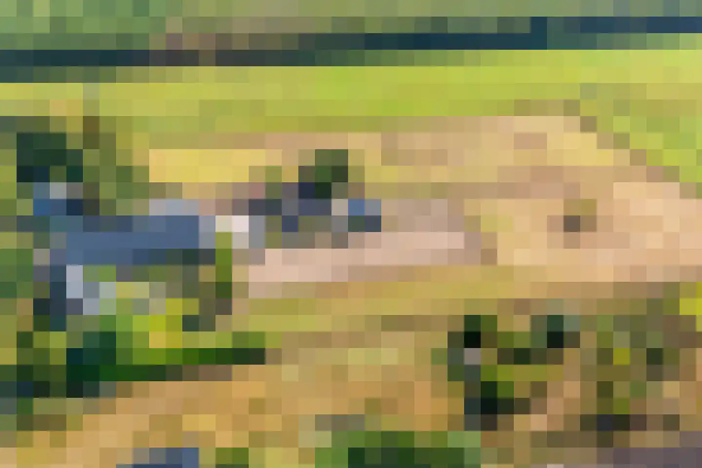 't Haantje 63 't Haantje thumbnail 81