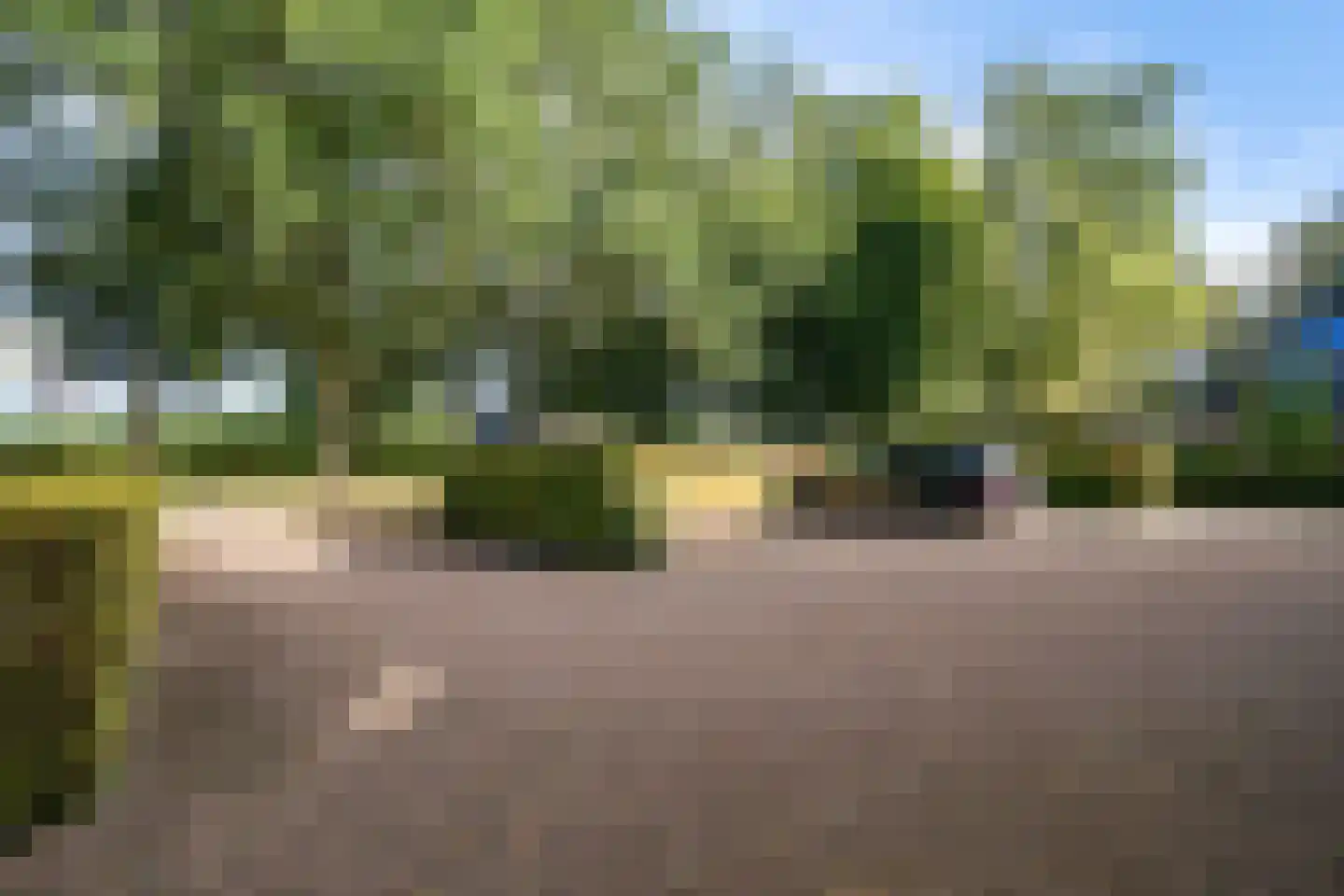 't Haantje 63 't Haantje thumbnail 83