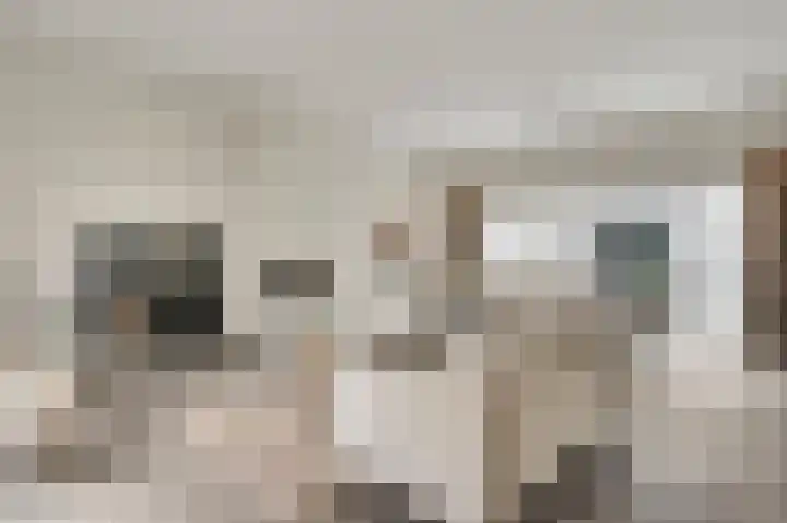't Hagelkruis 64 Maarheeze thumbnail 12