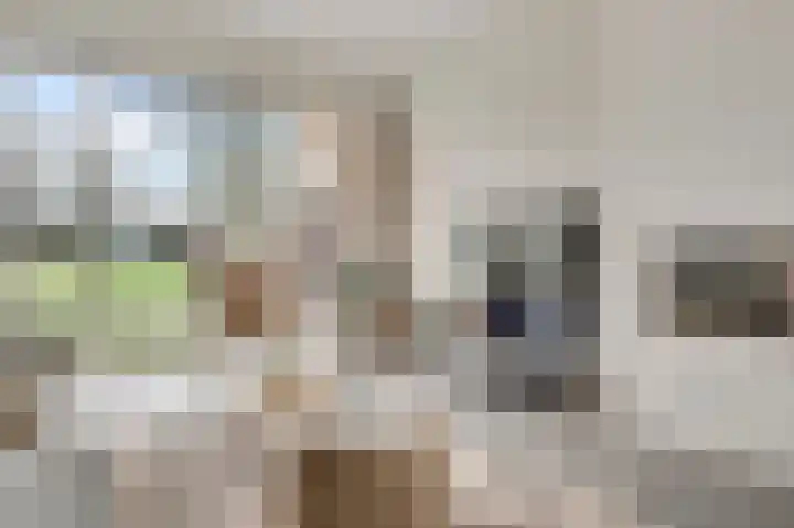 't Hagelkruis 64 Maarheeze thumbnail 14