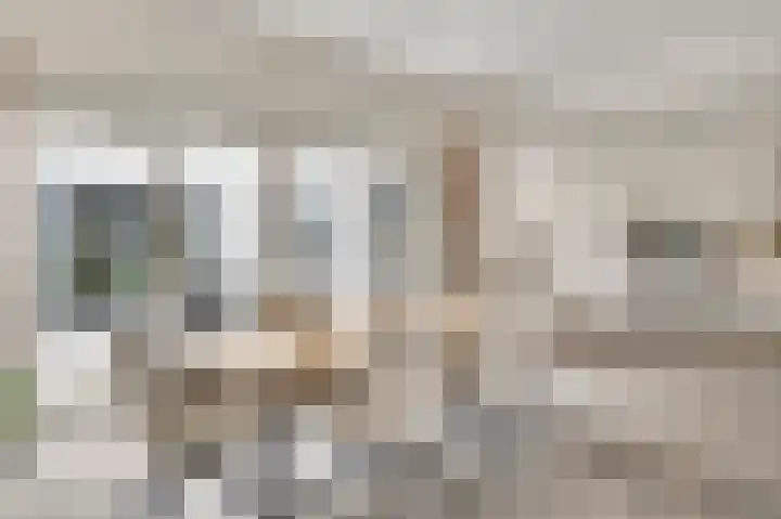 't Hagelkruis 64 Maarheeze thumbnail 15
