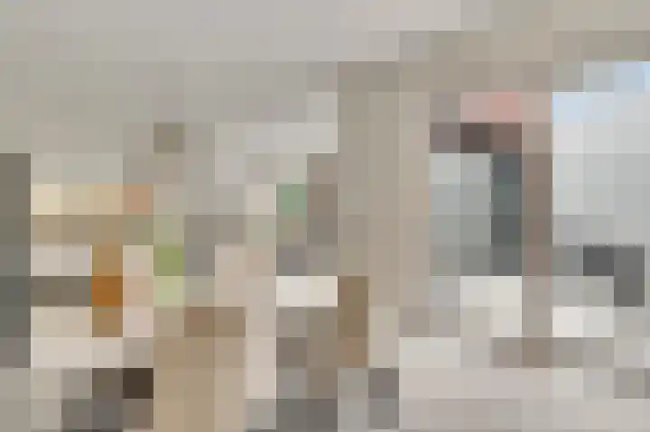 't Hagelkruis 64 Maarheeze thumbnail 22