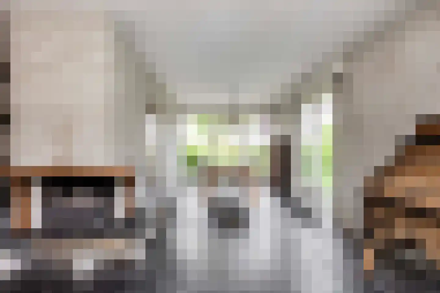 't Hambroek 12 Borculo thumbnail 10