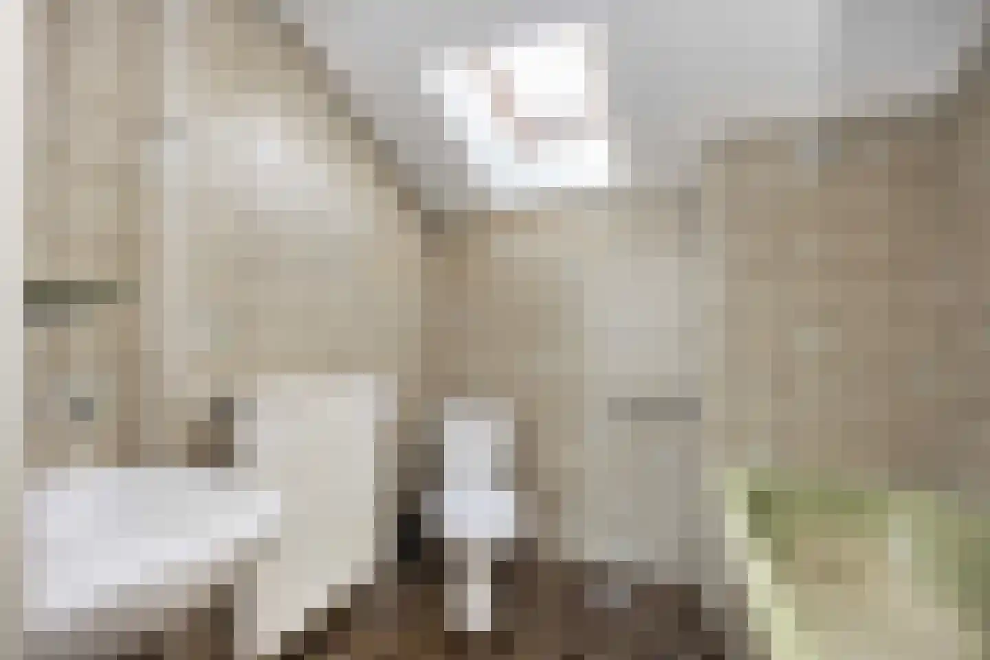 't Hambroek 12 Borculo thumbnail 20