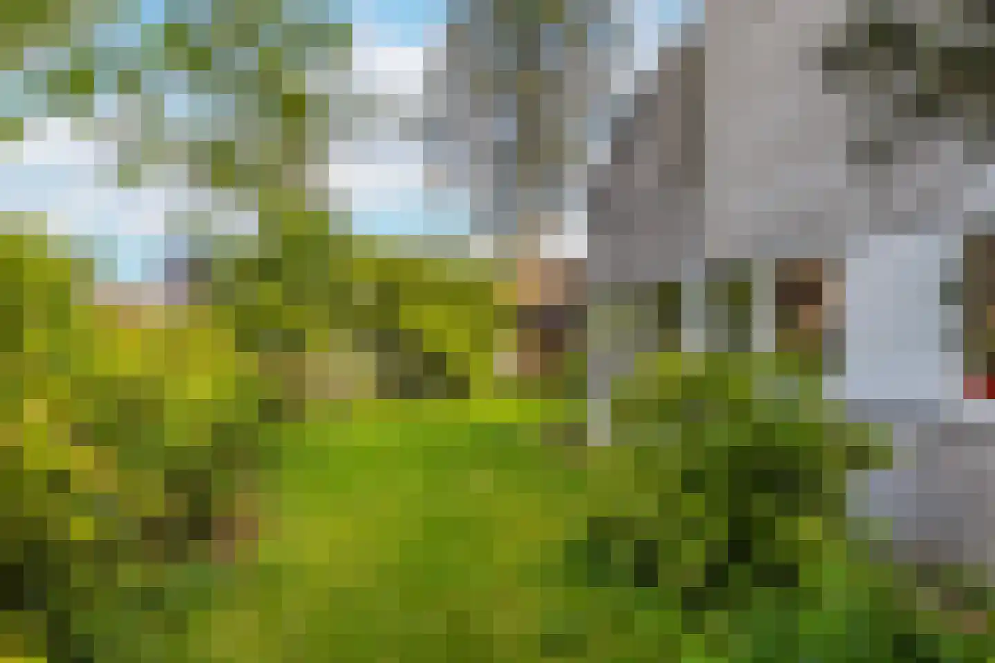 't Hambroek 12 Borculo thumbnail 23