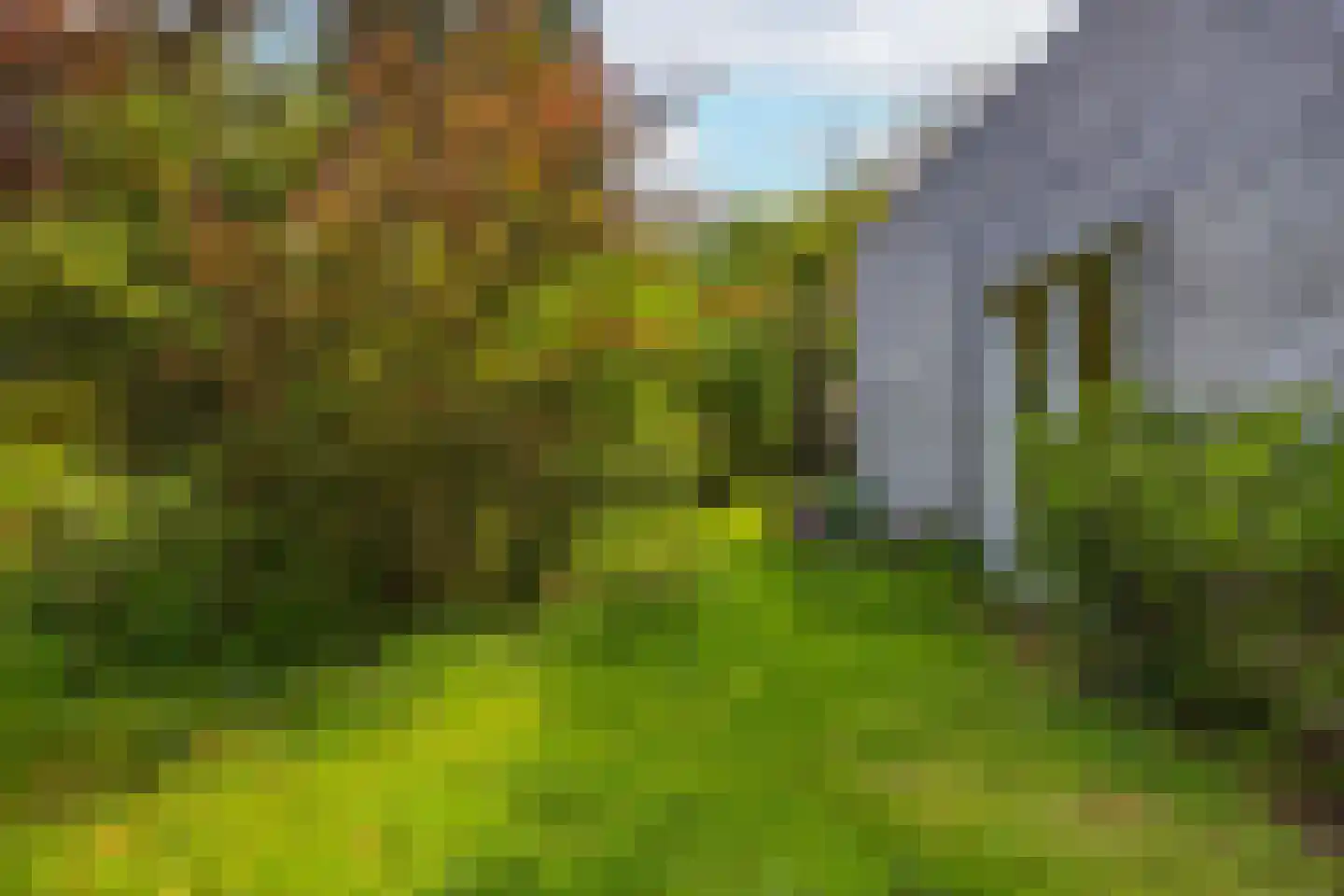 't Hambroek 12 Borculo thumbnail 24