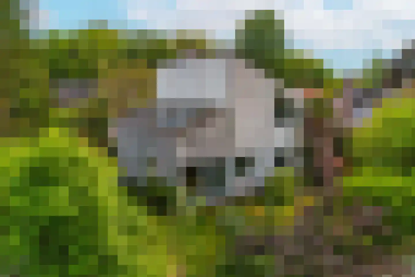 't Hambroek 12 Borculo thumbnail 27
