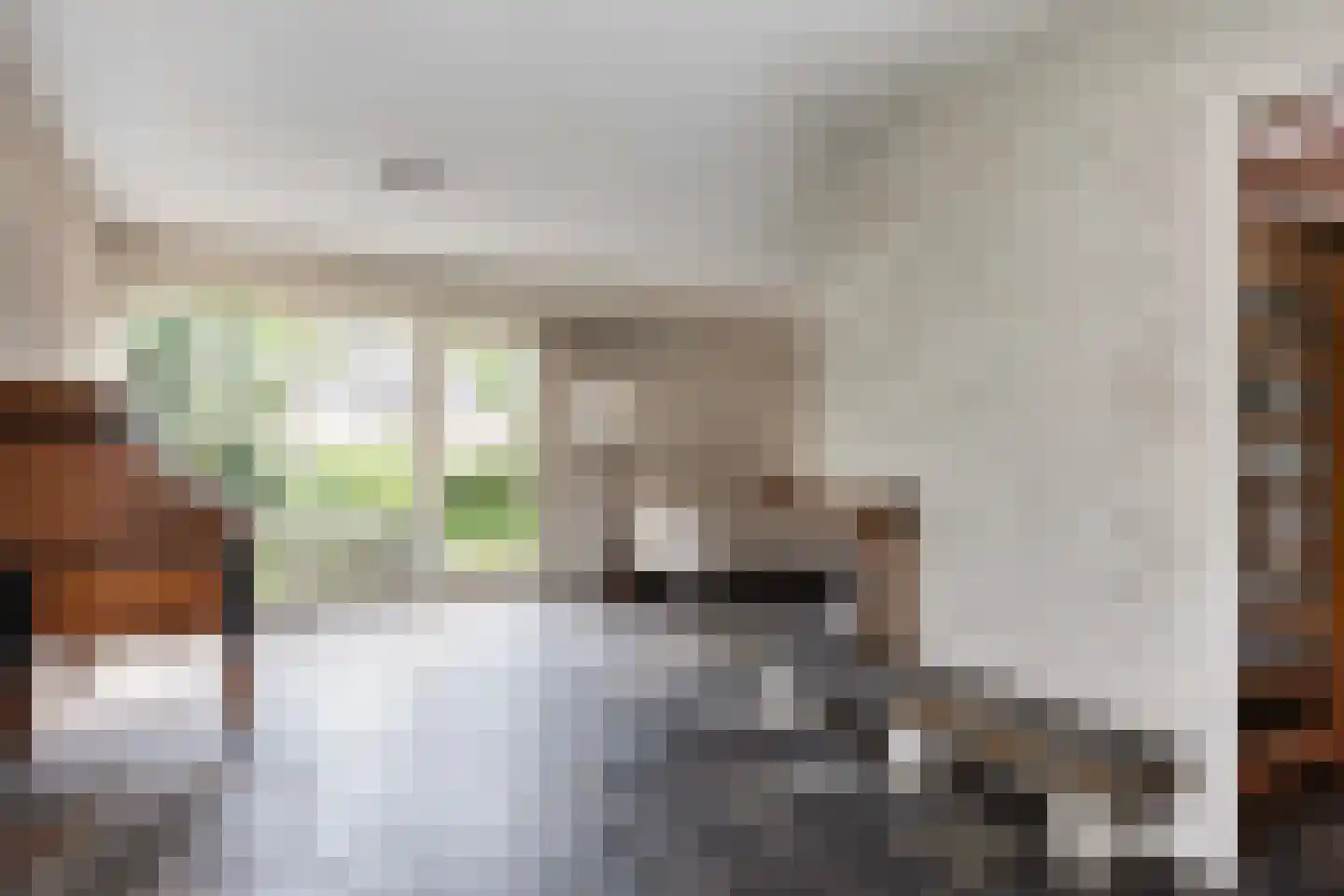 't Hambroek 12 Borculo thumbnail 6
