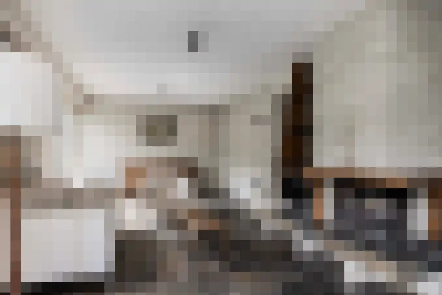 't Hambroek 12 Borculo thumbnail 8