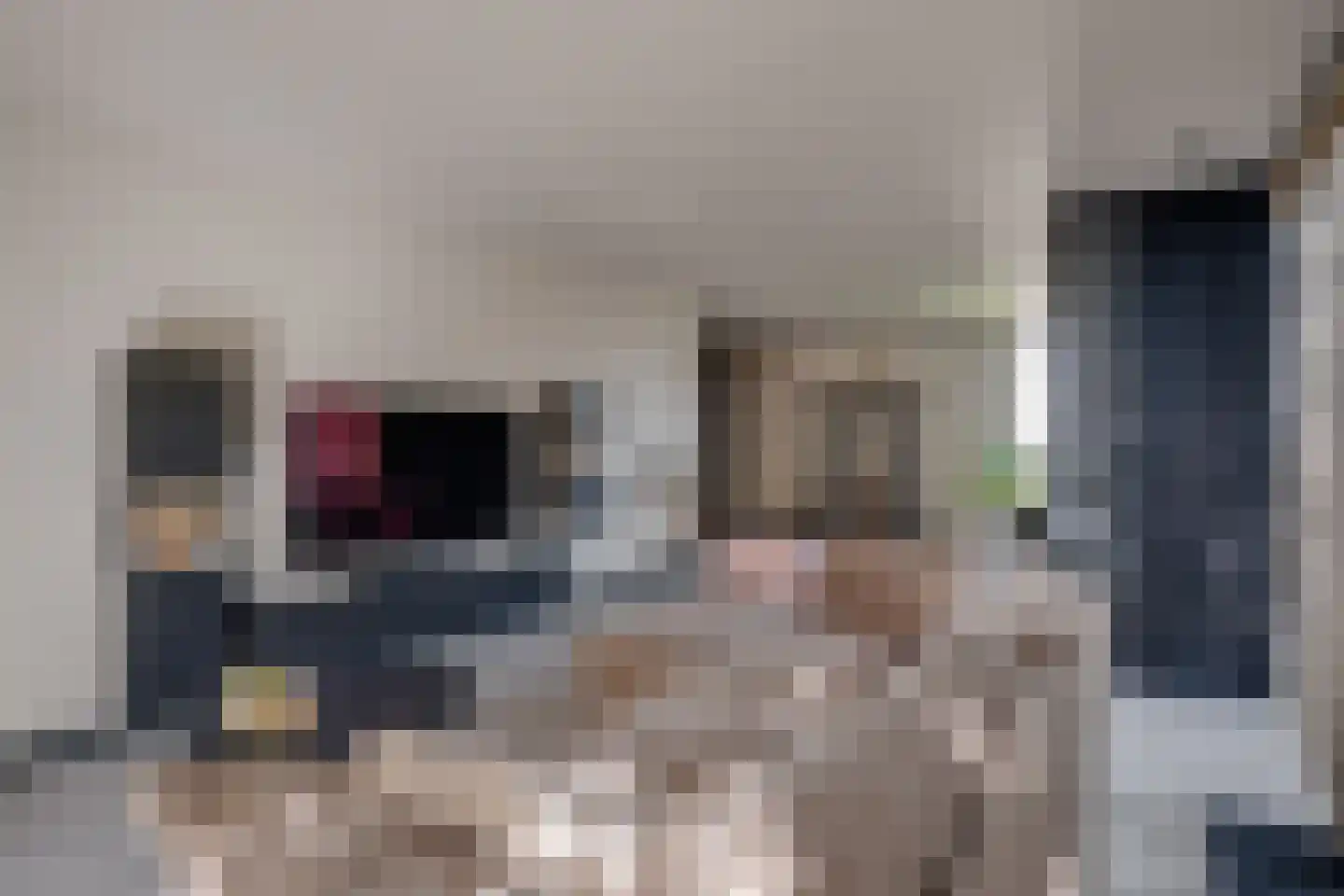 't Hambroek 20 Borculo thumbnail 10