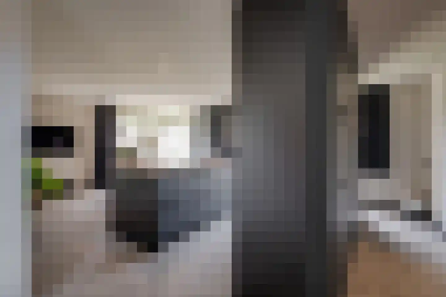 't Hambroek 20 Borculo thumbnail 11