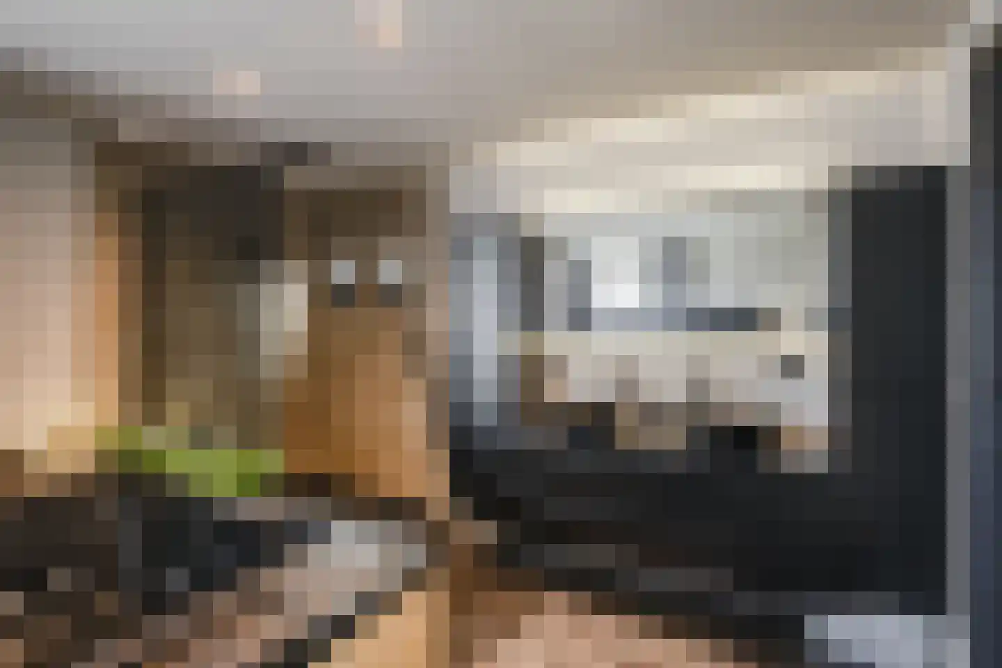 't Hambroek 20 Borculo thumbnail 15