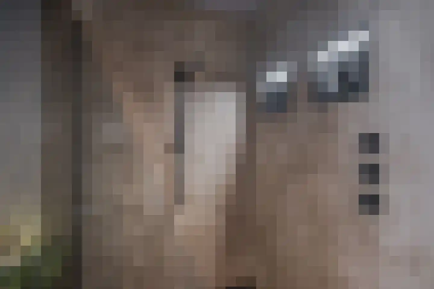 't Hambroek 20 Borculo thumbnail 16