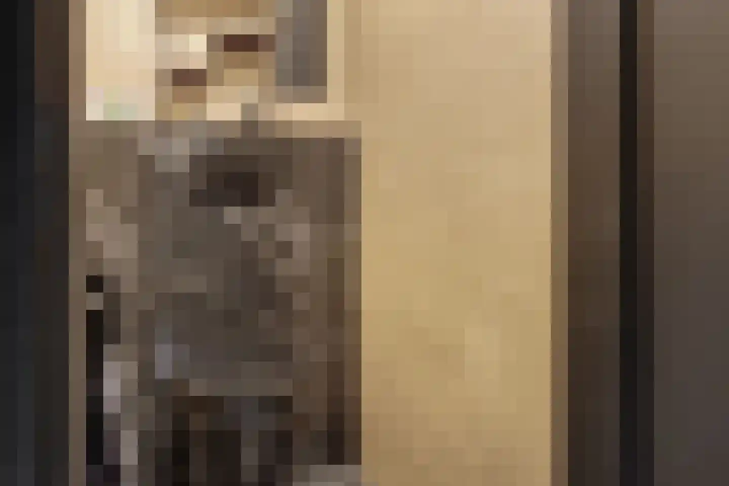 't Hambroek 20 Borculo thumbnail 17