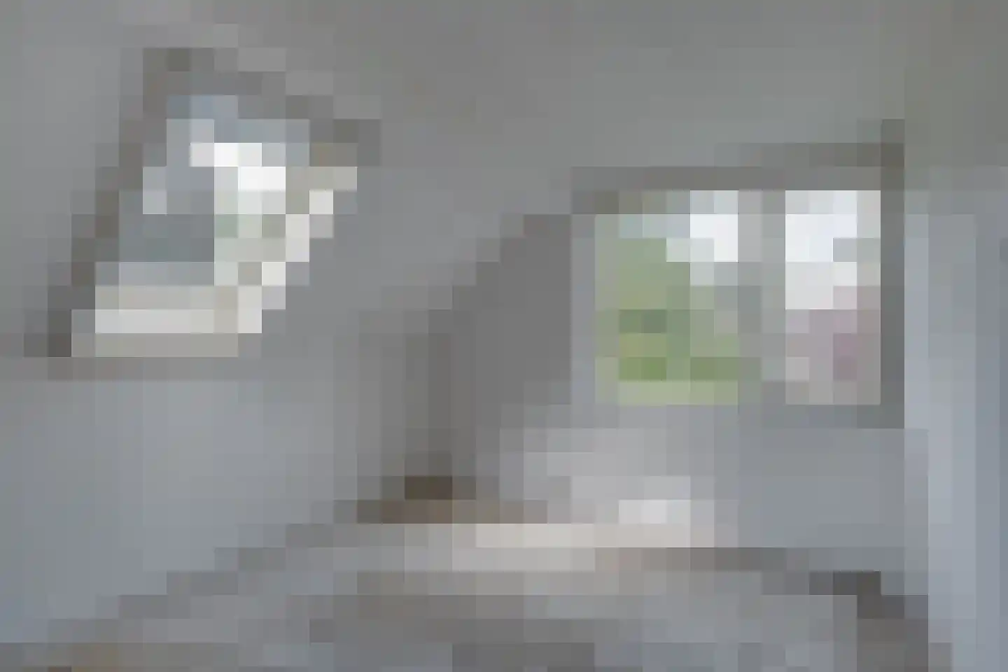 't Hambroek 20 Borculo thumbnail 18