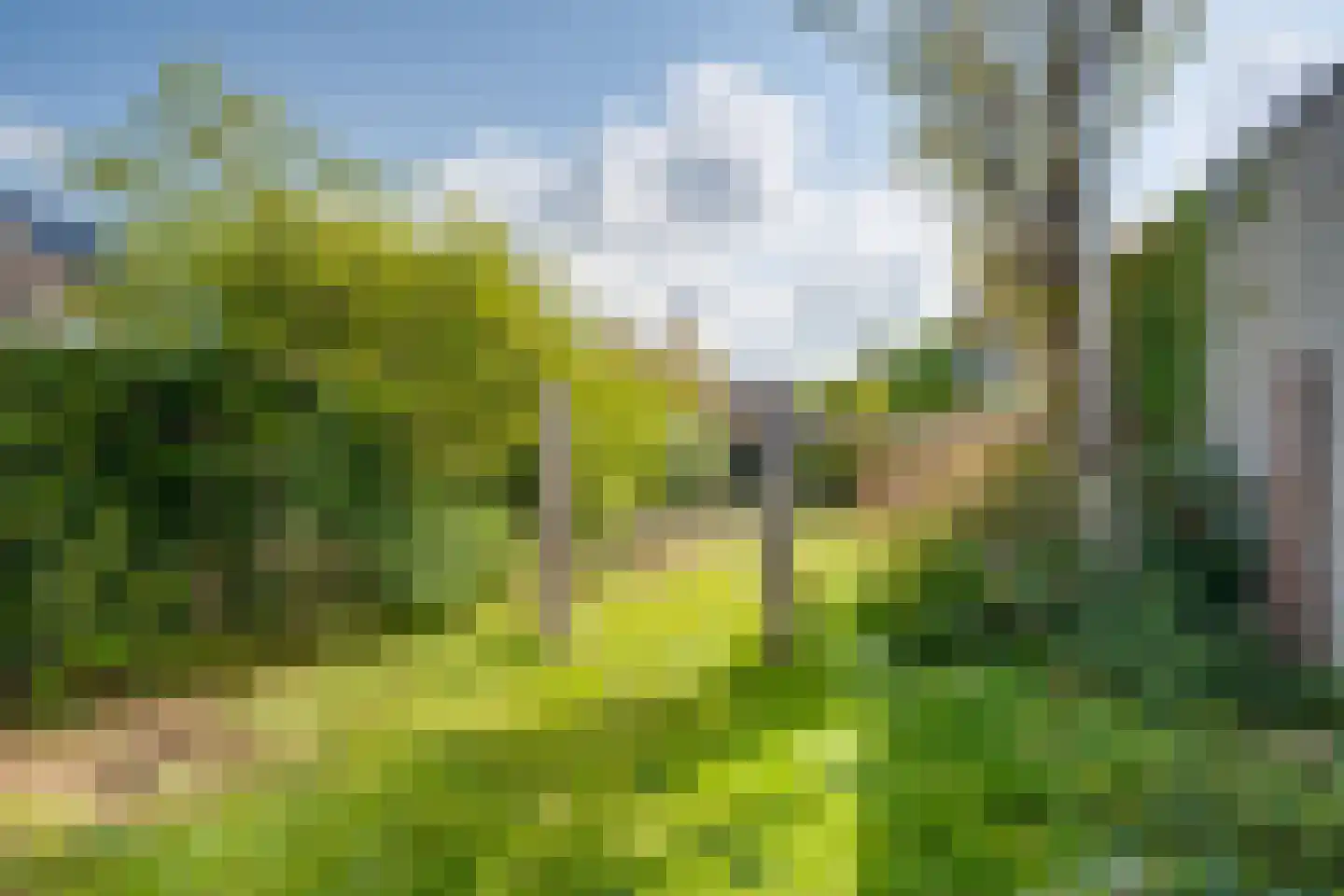 't Hambroek 20 Borculo thumbnail 20