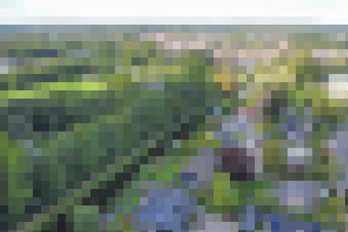 't Hambroek 20 Borculo thumbnail 23