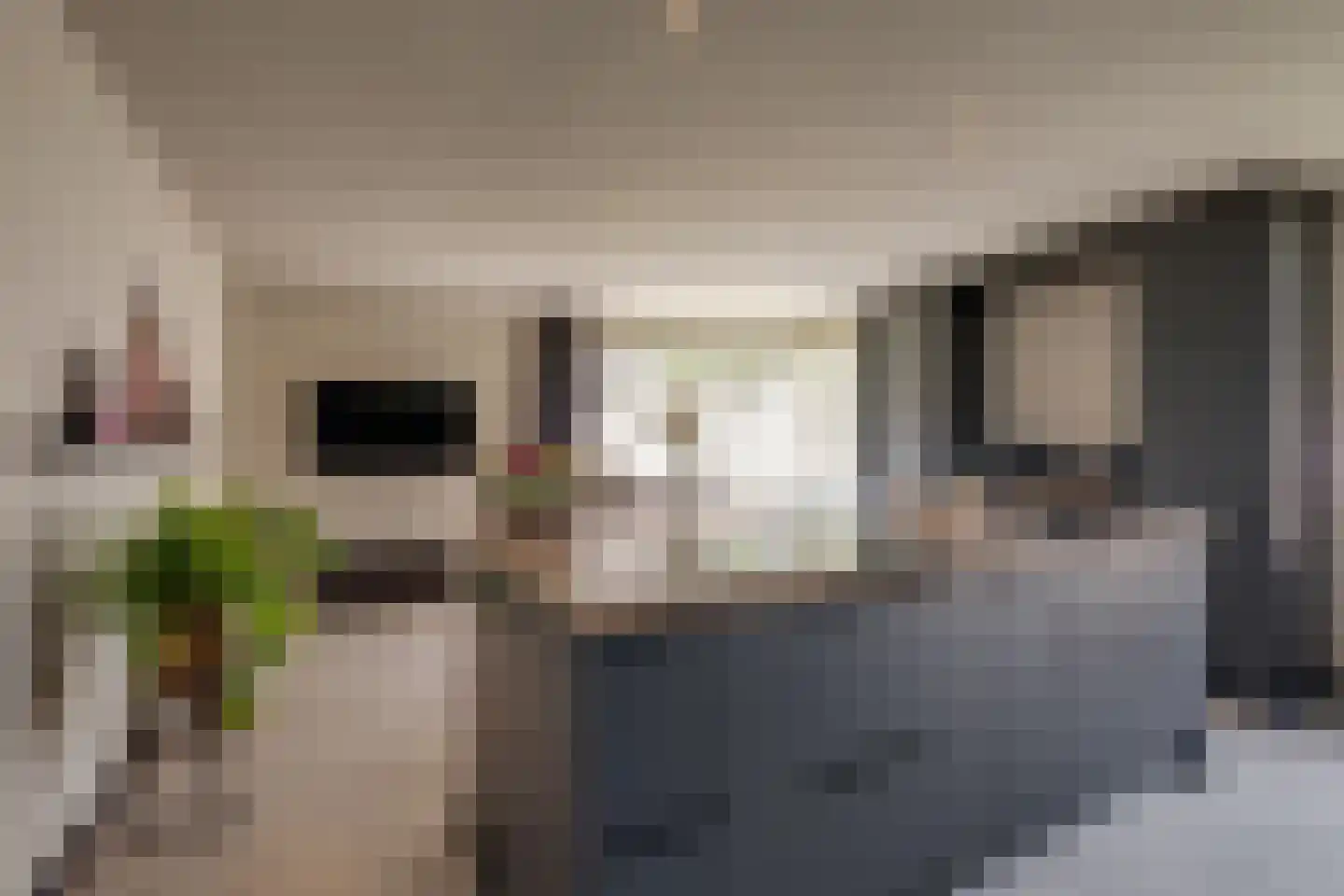 't Hambroek 20 Borculo thumbnail 4