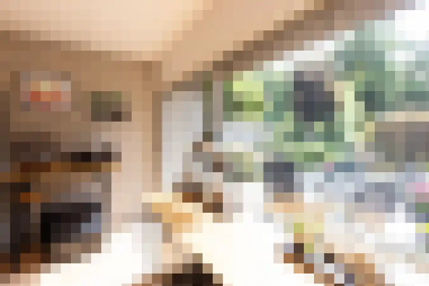 't Hambroek 40 Borculo thumbnail 21