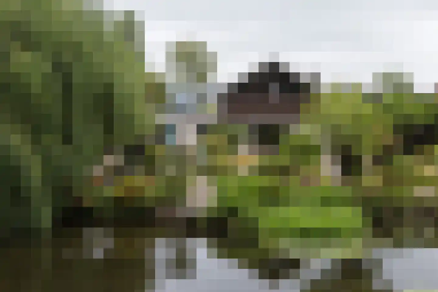 't Hambroek 40 Borculo thumbnail 36