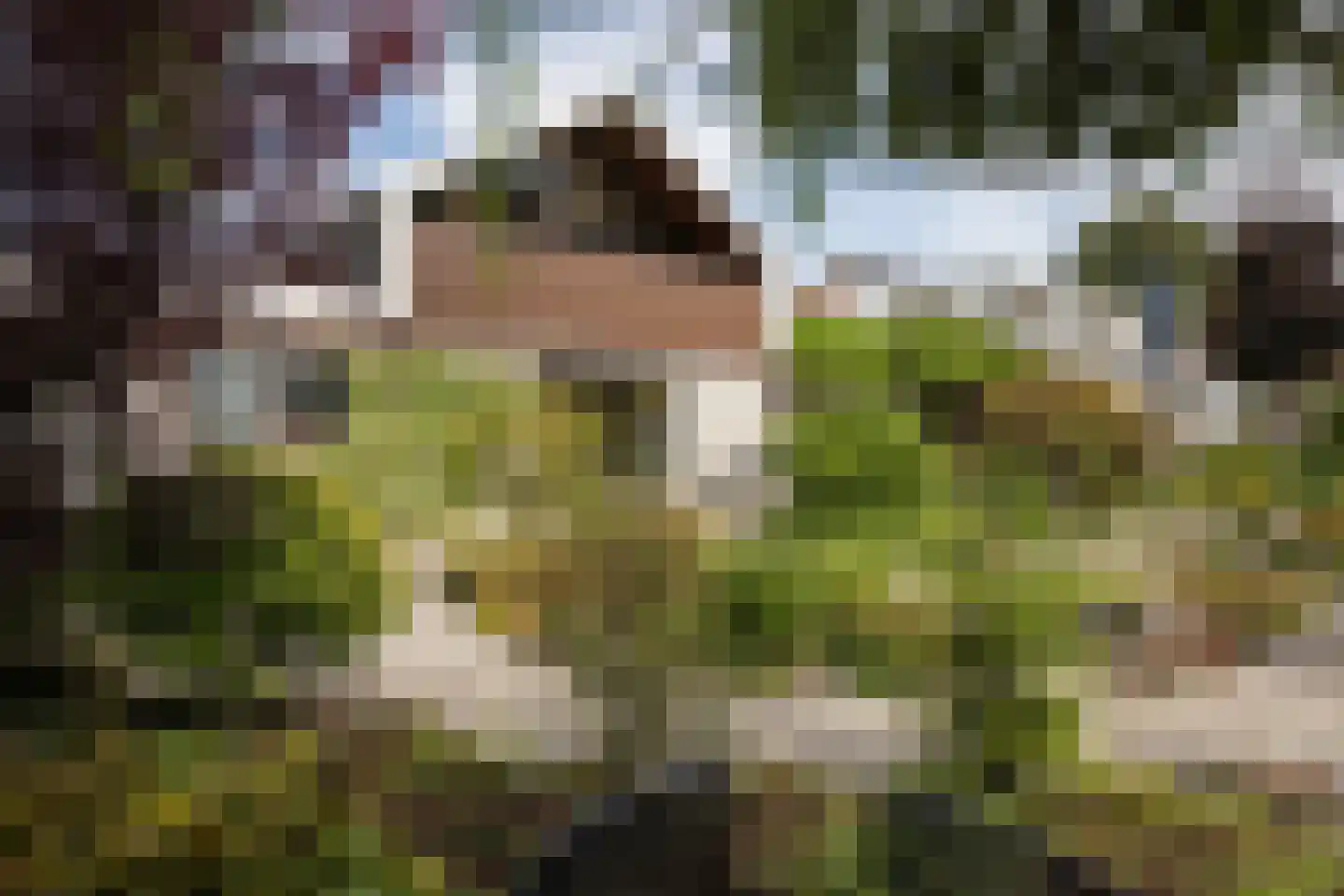 't Hambroek 40 Borculo thumbnail 37