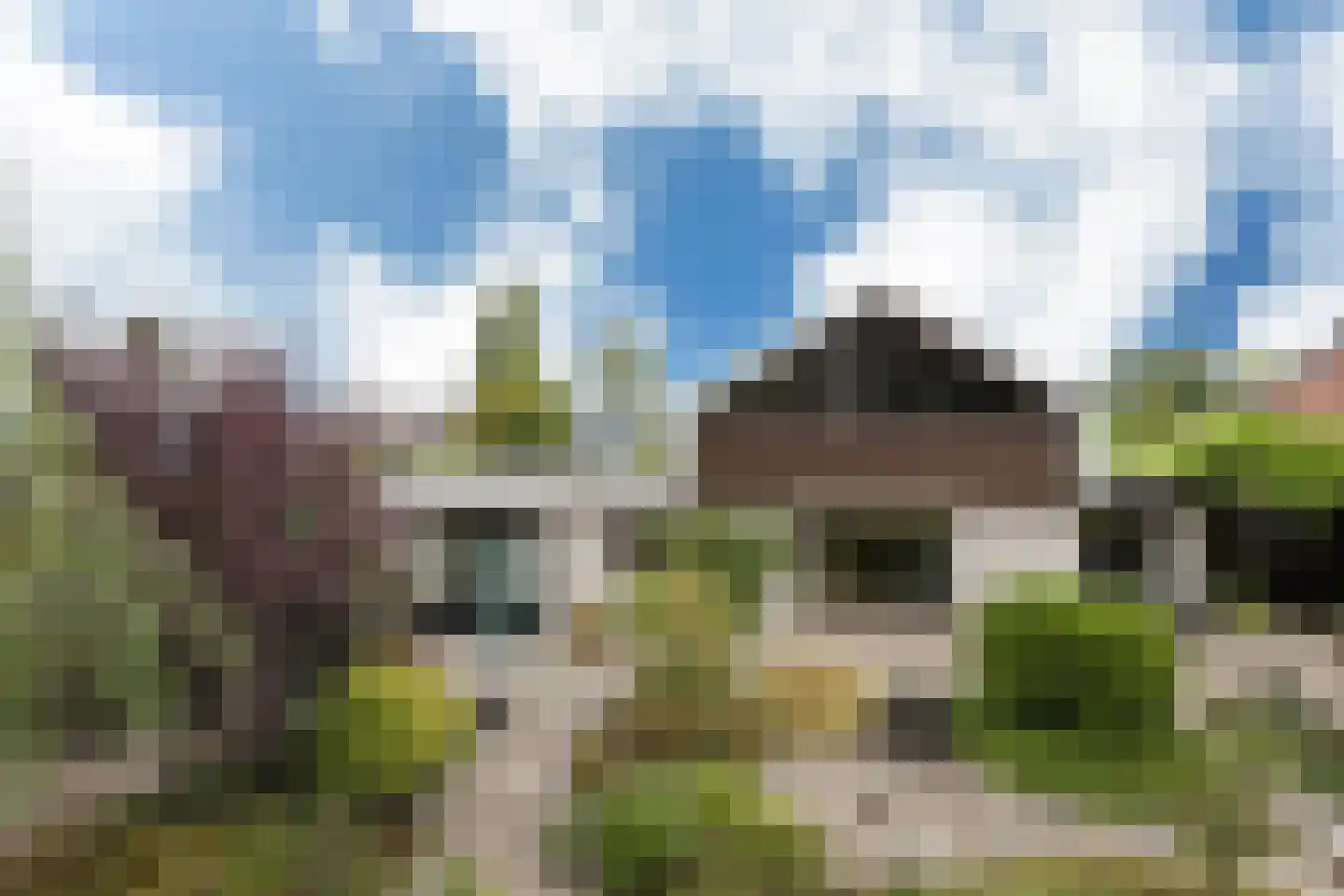 't Hambroek 40 Borculo thumbnail 38
