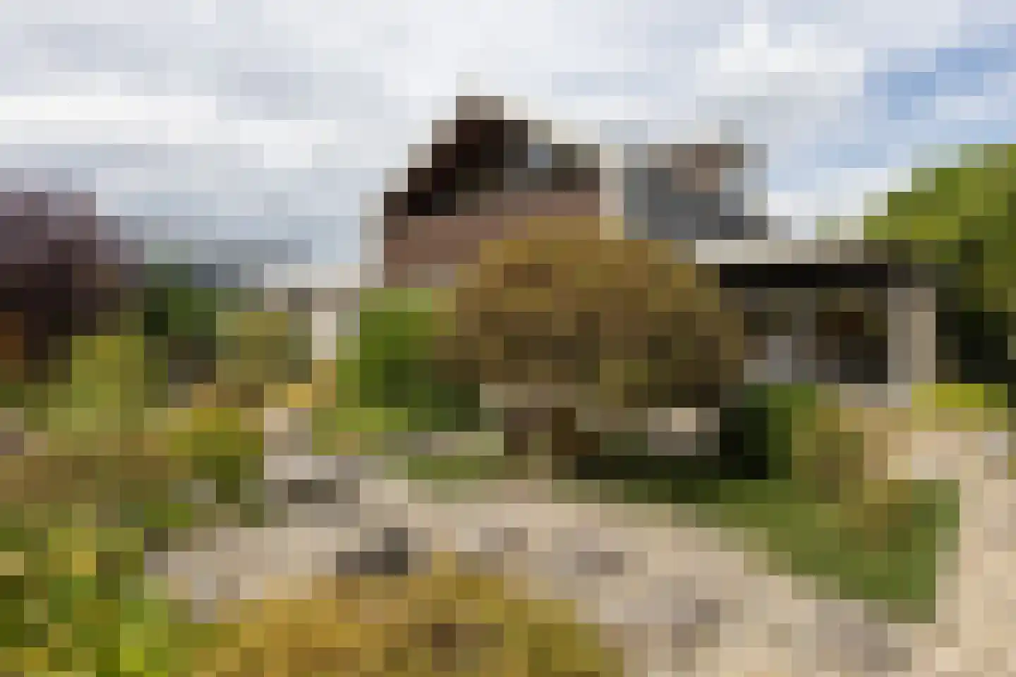 't Hambroek 40 Borculo thumbnail 39