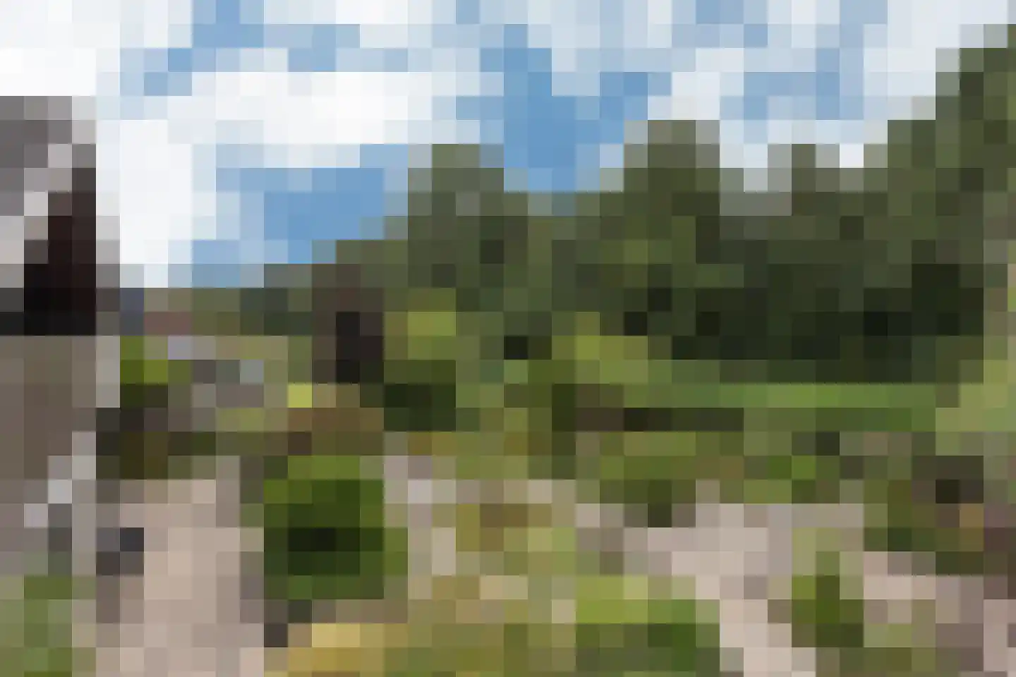 't Hambroek 40 Borculo thumbnail 4