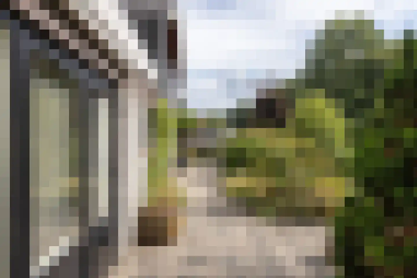 't Hambroek 40 Borculo thumbnail 41