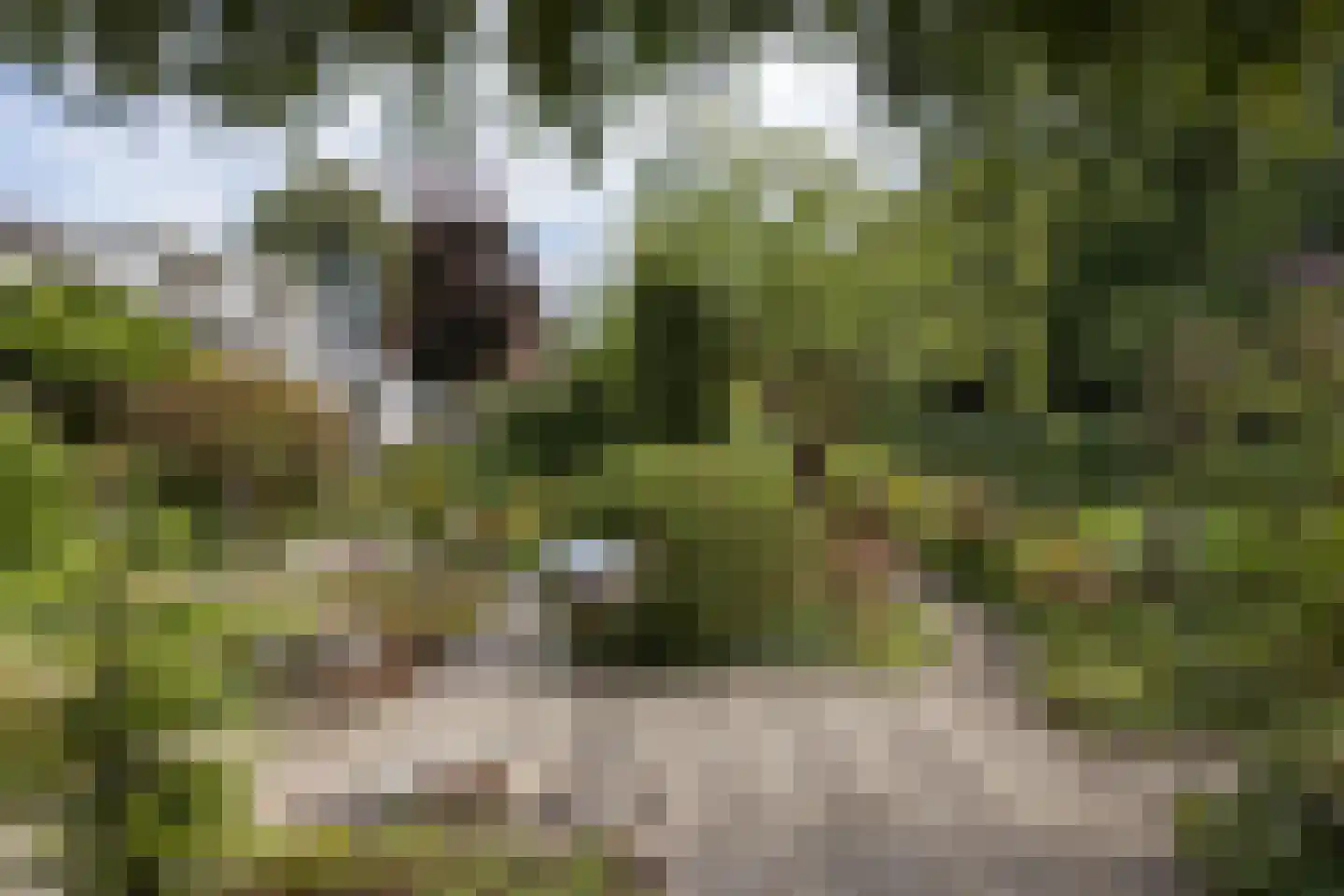 't Hambroek 40 Borculo thumbnail 42