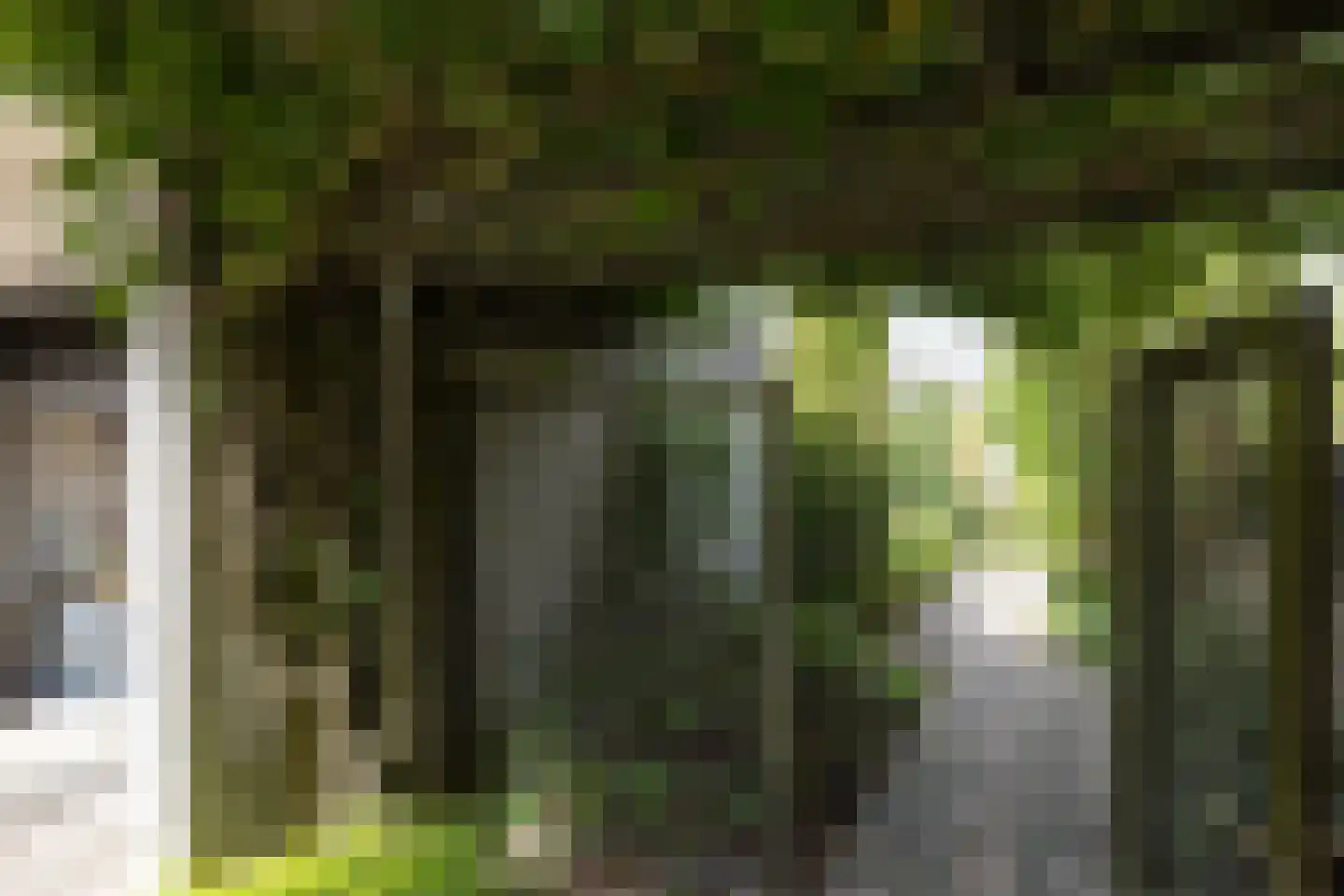 't Hambroek 40 Borculo thumbnail 43