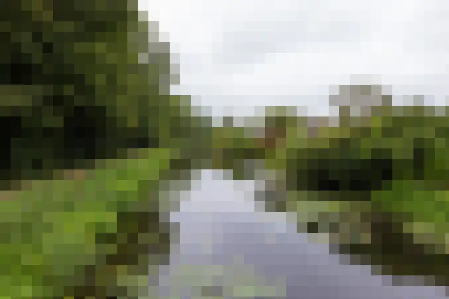 't Hambroek 40 Borculo thumbnail 47