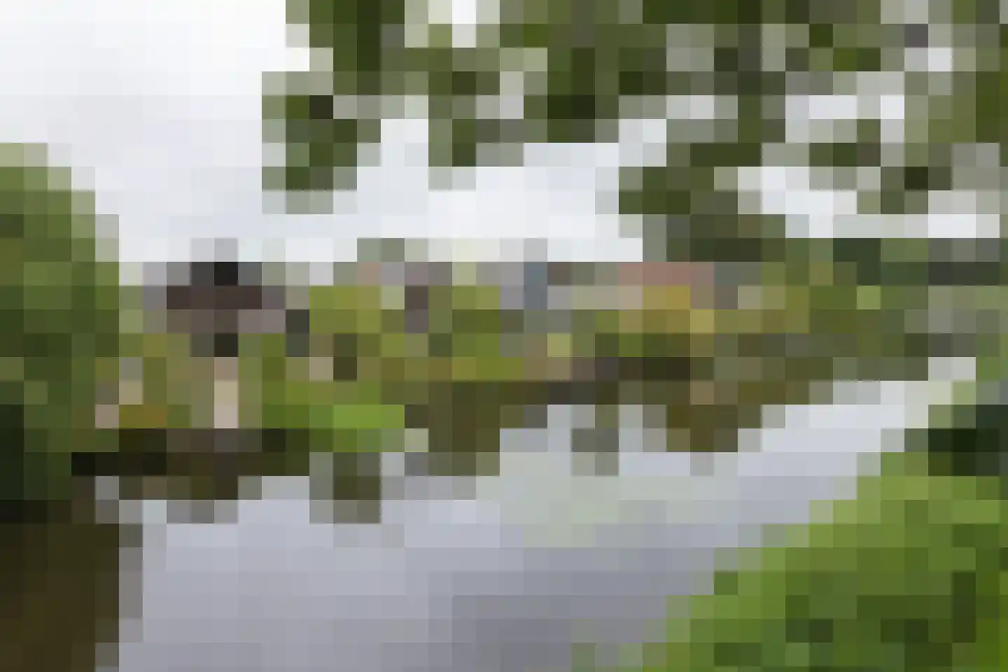 't Hambroek 40 Borculo thumbnail 48