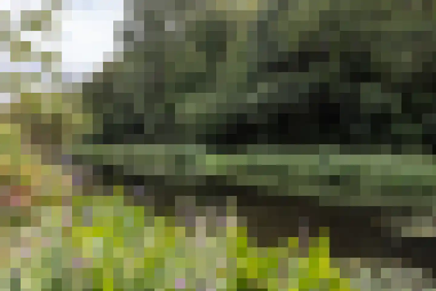 't Hambroek 40 Borculo thumbnail 5