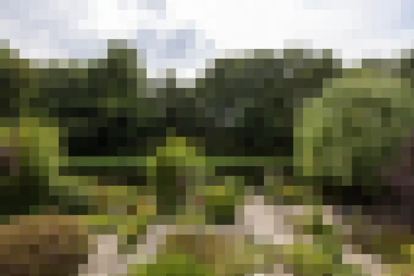 't Hambroek 40 Borculo thumbnail 50