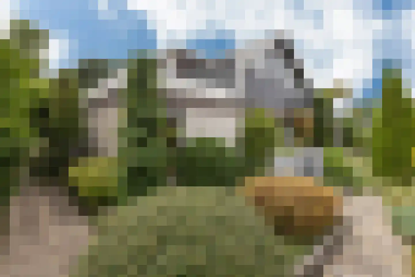 't Hambroek 40 Borculo thumbnail 53