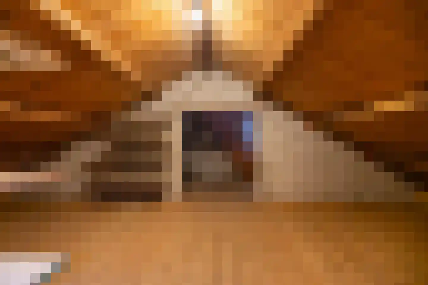 't Harde 18 Haren Gn thumbnail 34