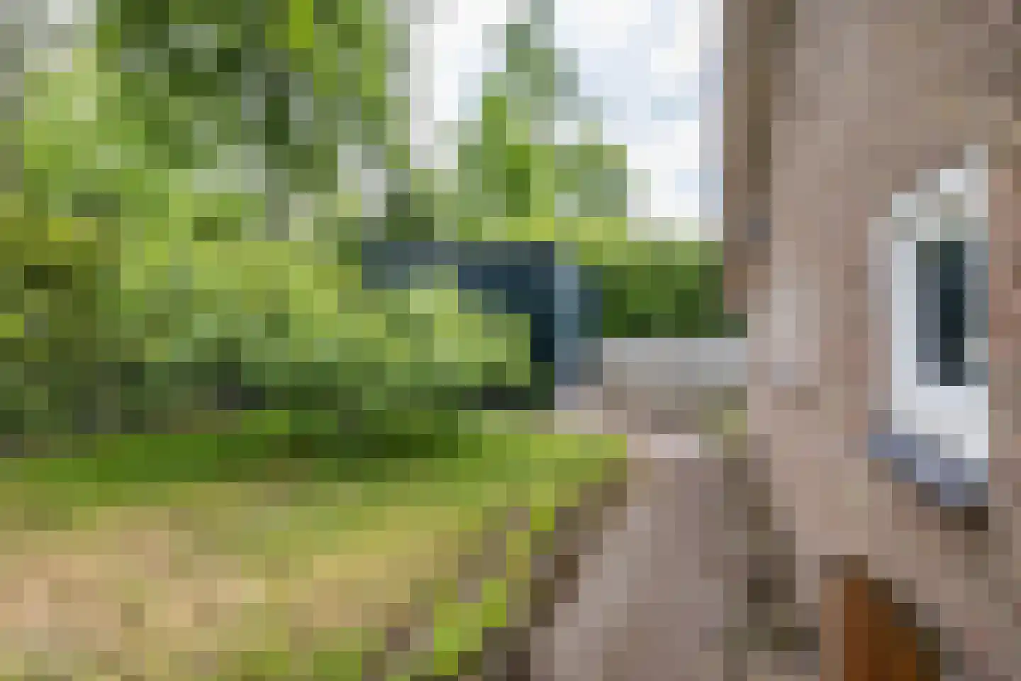 't Harde 18 Haren Gn thumbnail 40