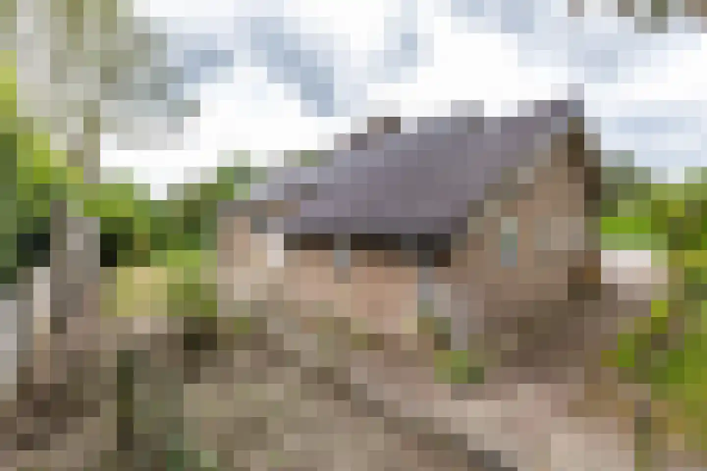 't Harde 18 Haren Gn thumbnail 41