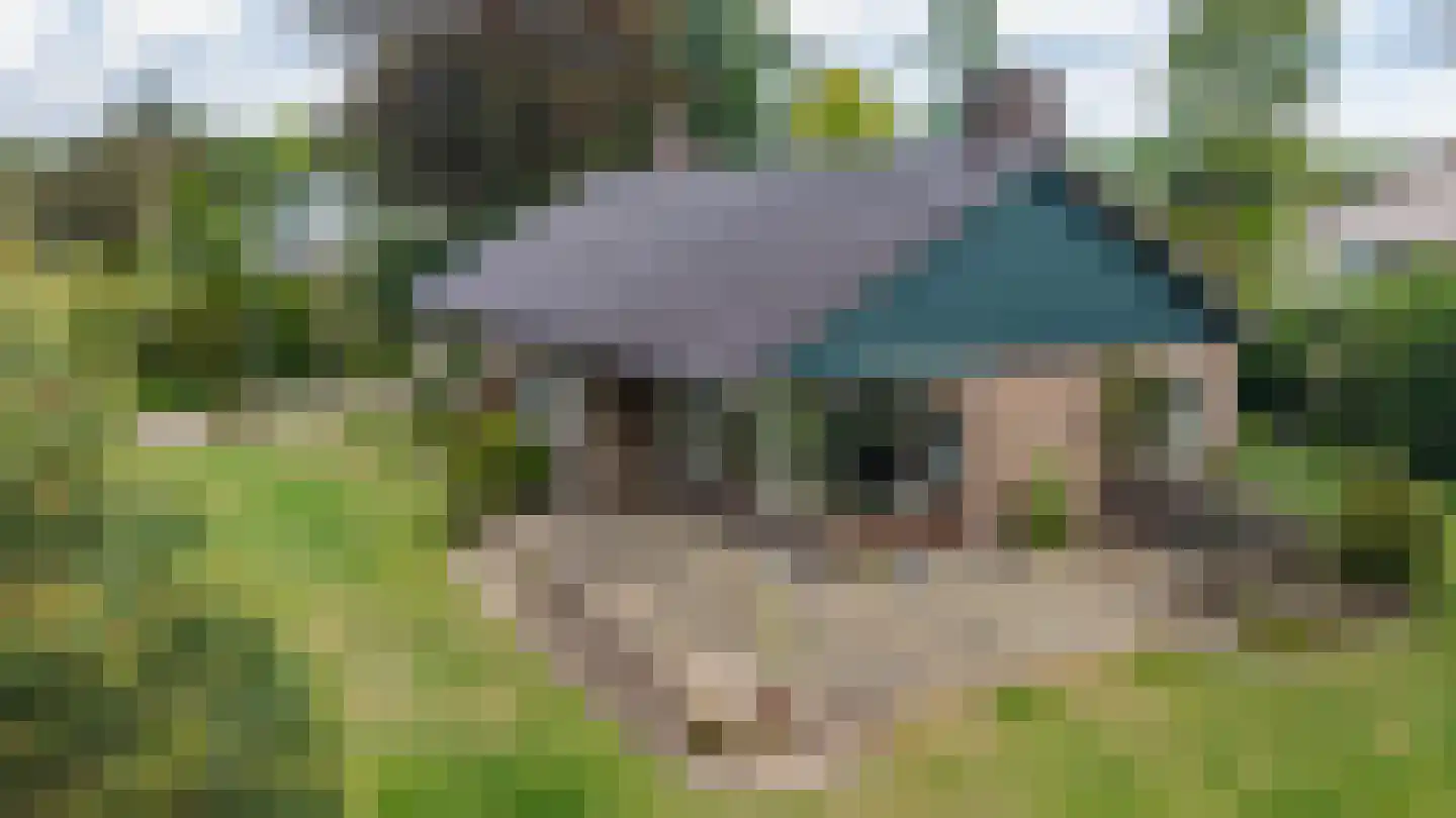't Harde 18 Haren Gn thumbnail 6