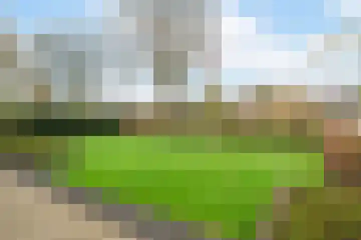 't Harde 22 Haren Gn thumbnail 12