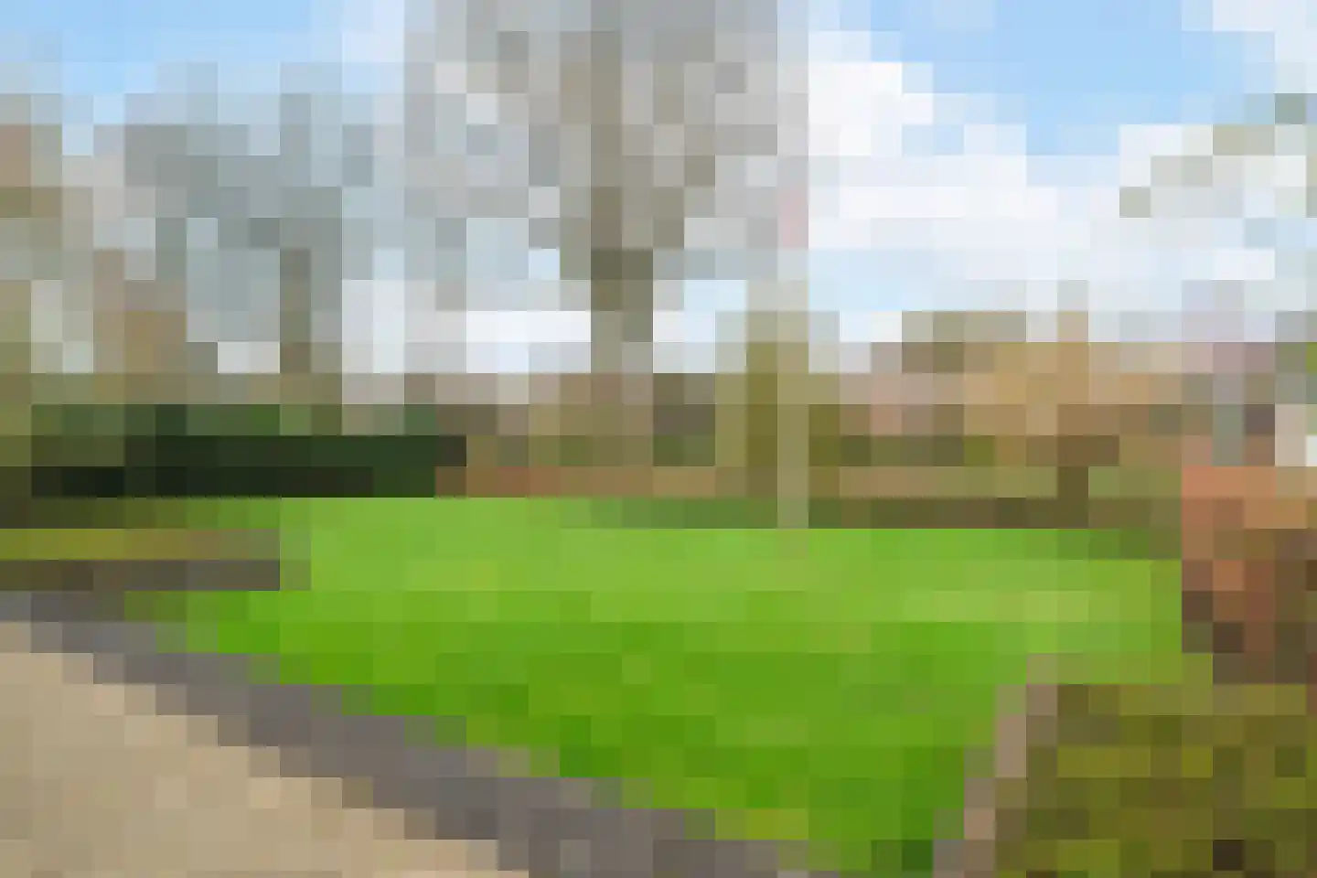 't Harde 22 Haren Gn thumbnail 12