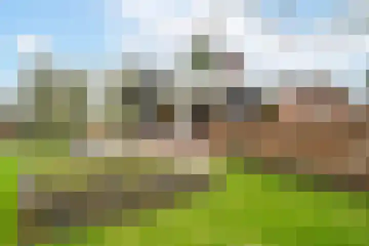 't Harde 22 Haren Gn thumbnail 13