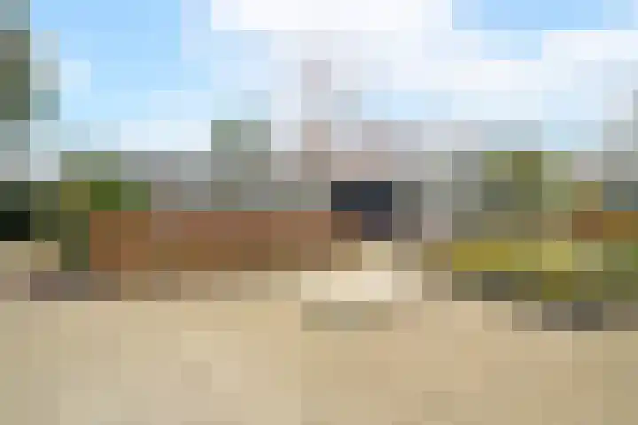 't Harde 22 Haren Gn thumbnail 14