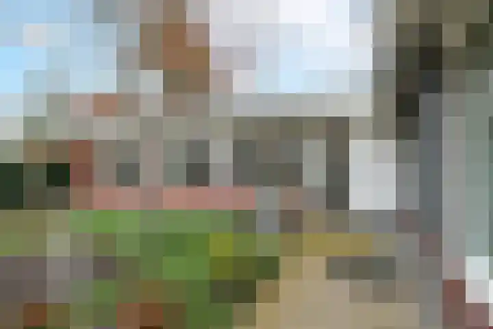 't Harde 22 Haren Gn thumbnail 15