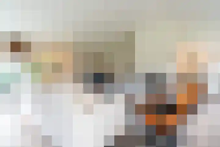 't Harde 22 Haren Gn thumbnail 22