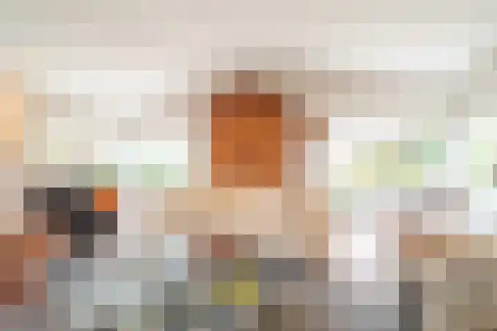 't Harde 22 Haren Gn thumbnail 25